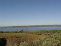 dsc03604.jpg