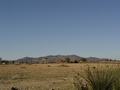 dsc03638.jpg