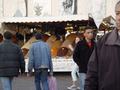 dsc03674.jpg