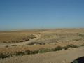 dsc03696.jpg