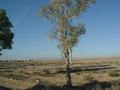 dsc03698.jpg
