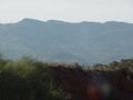 dsc03736.jpg