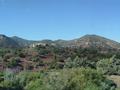 dsc03742.jpg