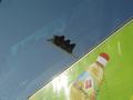 dsc03756.jpg