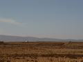 dsc03790.jpg