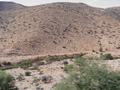 dsc03808.jpg