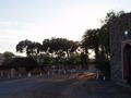 dsc03860.jpg