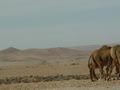 dsc03899.jpg