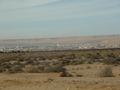 dsc03901.jpg