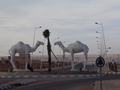 dsc03902.jpg