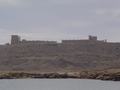 dsc03919.jpg