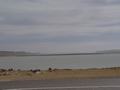 dsc03921.jpg