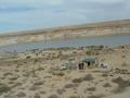 dsc03935.jpg