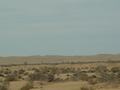dsc03942.jpg