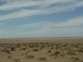 dsc03943.jpg