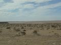 dsc03944.jpg