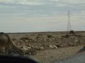 dsc03954.jpg