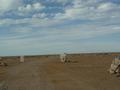 dsc03958.jpg