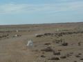 dsc03964.jpg