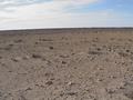dsc03992.jpg