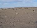 dsc03995.jpg
