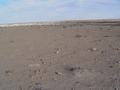 dsc03997.jpg