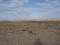 dsc04001.jpg