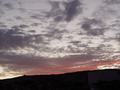 dsc04018.jpg