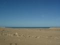 dsc04051.jpg