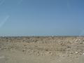 dsc04079.jpg