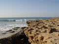 dsc04137.jpg