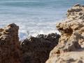 dsc04141.jpg