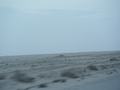 dsc04178.jpg