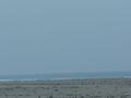 dsc04187.jpg