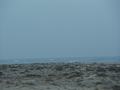 dsc04198.jpg
