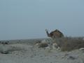 dsc04209.jpg
