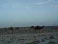 dsc04211.jpg
