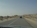 dsc04225.jpg