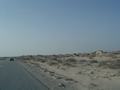 dsc04227.jpg