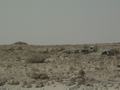 dsc04237.jpg