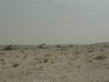 dsc04244.jpg