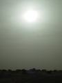 dsc04247.jpg