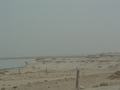 dsc04253.jpg
