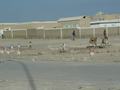dsc04279.jpg