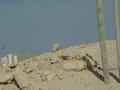dsc04327.jpg