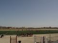 dsc04333.jpg