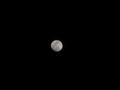 dsc04368.jpg