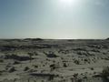 dsc04379.jpg