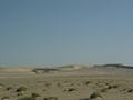 dsc04381.jpg