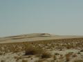 dsc04388.jpg